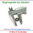 Neodym Ringmagnet Nickel